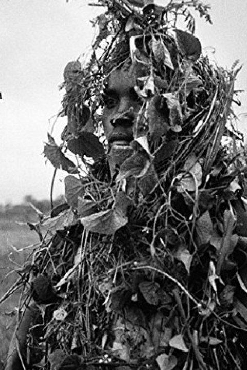 Guy Tillim, tillimofuturocerto.jpg , Steidl Verlag , 2015