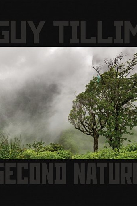 Guy Tillim, tillimpublicationguytillimsecondnature123498.jpg , Prestel Verlag , 2012