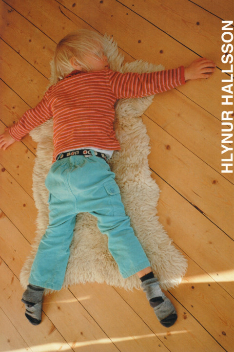 Hlynur Hallsson, Städtisches Museum Zwickau , 2001