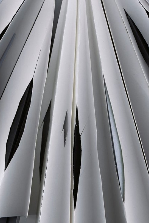 Peter K. Koch, kochpublicationnoformcover.jpg , permanent Verlag , 2008