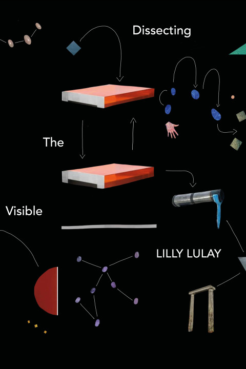 Lilly Lulay, lulaydissectingthevisible.jpg , Kuckei + Kuckei , 2021