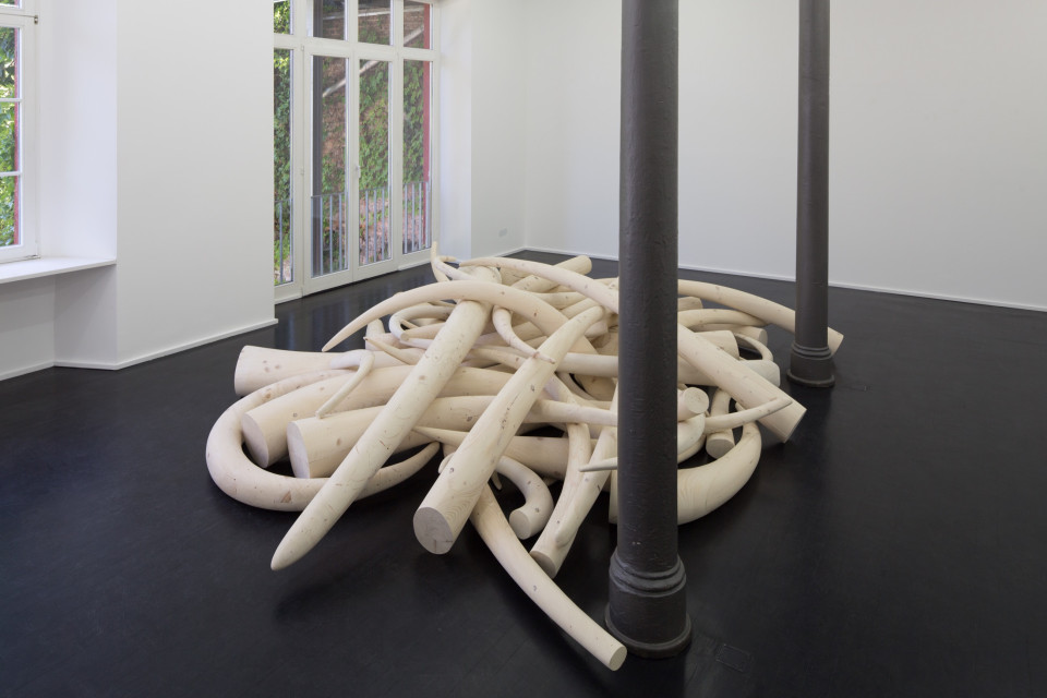 Stosszähne, 2015 / 2016