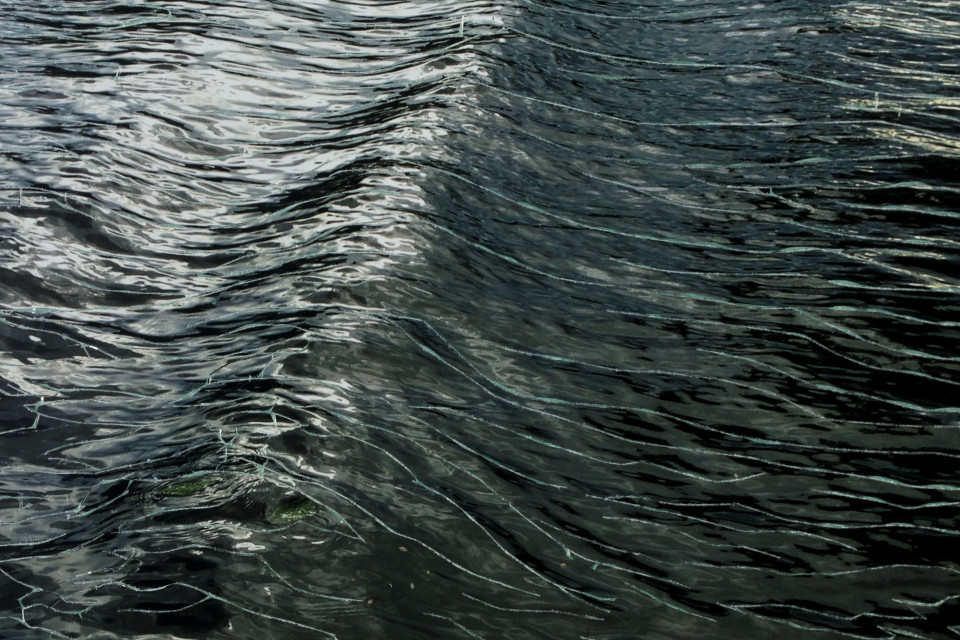 Detail from Aqueronte, 2017