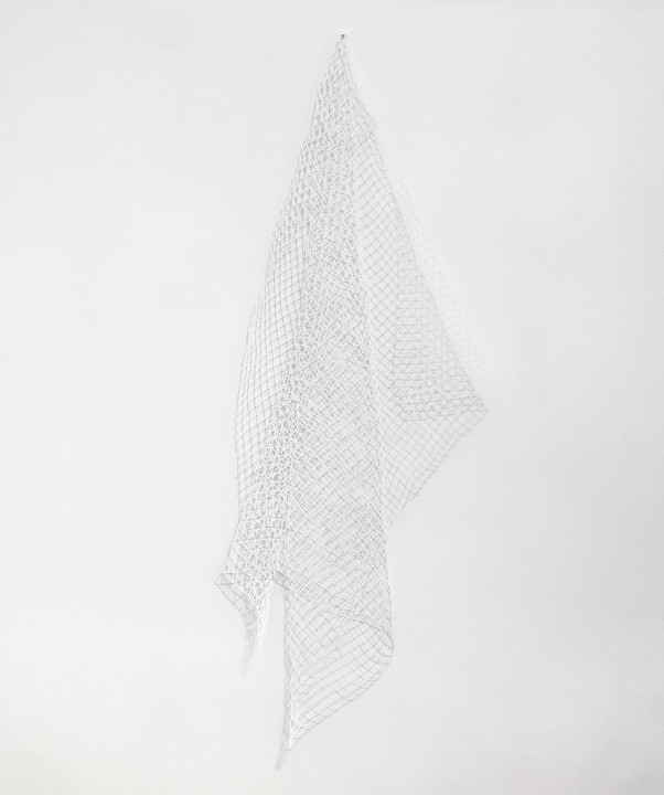 Untitled (FS-01-206), 2024