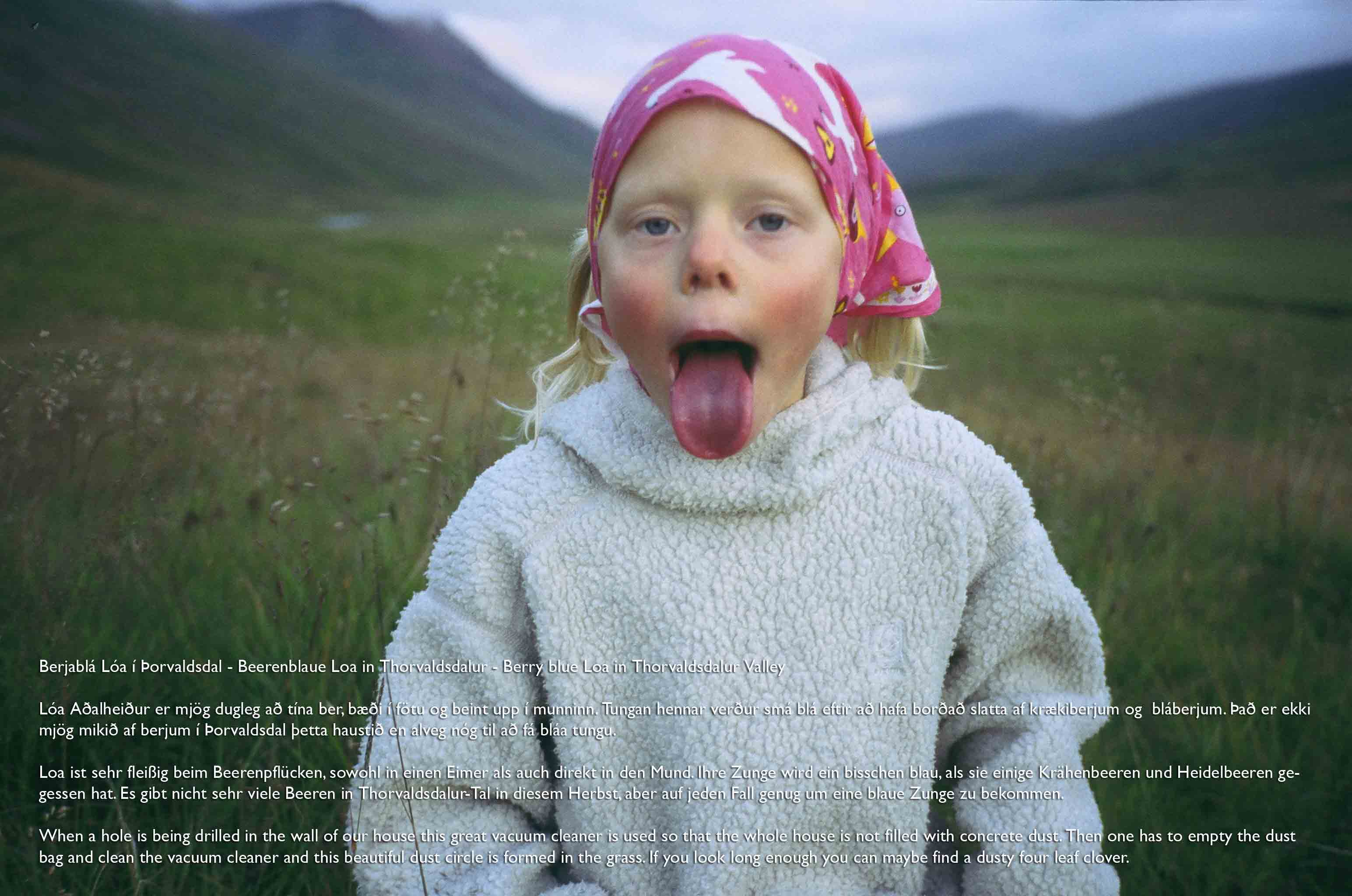 Berjablá Lóa í Þorvaldsdal - Beerenblaue Loa in Thorvaldsdalur - Berry blue Loa in Thorvaldsdalur Valley, 2003/2005