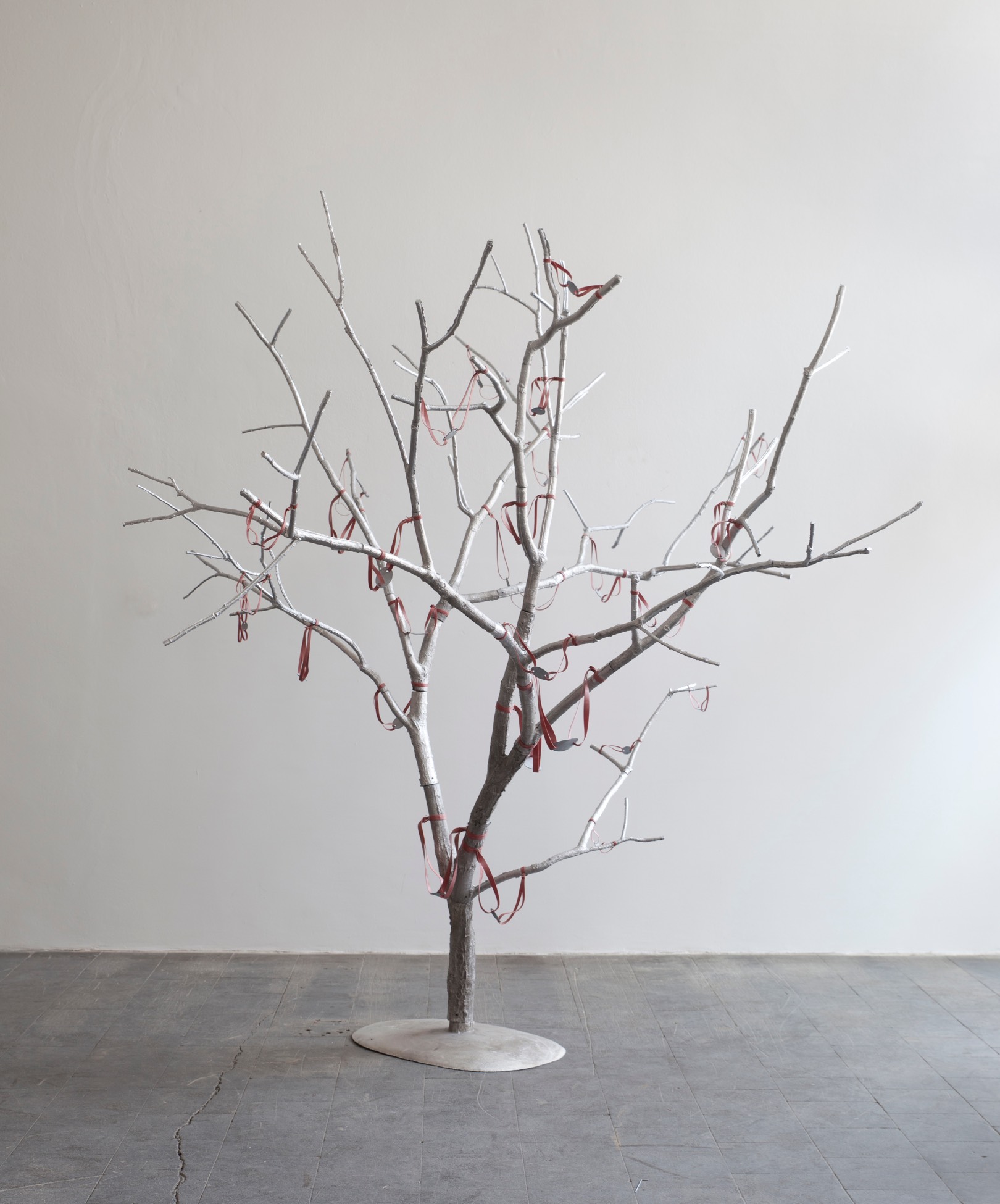 Fletschenbaum II, 2015