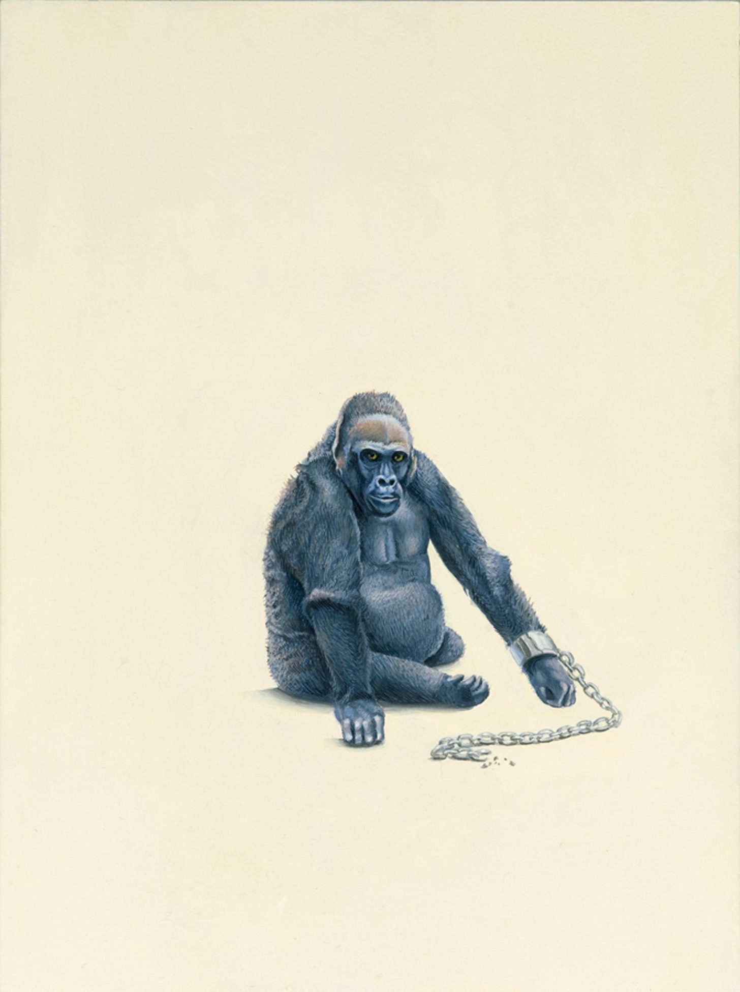 Monkey (Chain), 2009