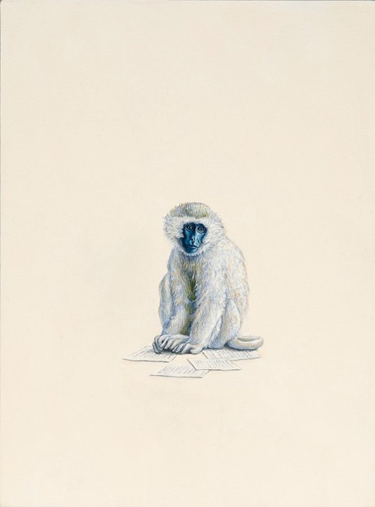Monkey (Papers), 2009