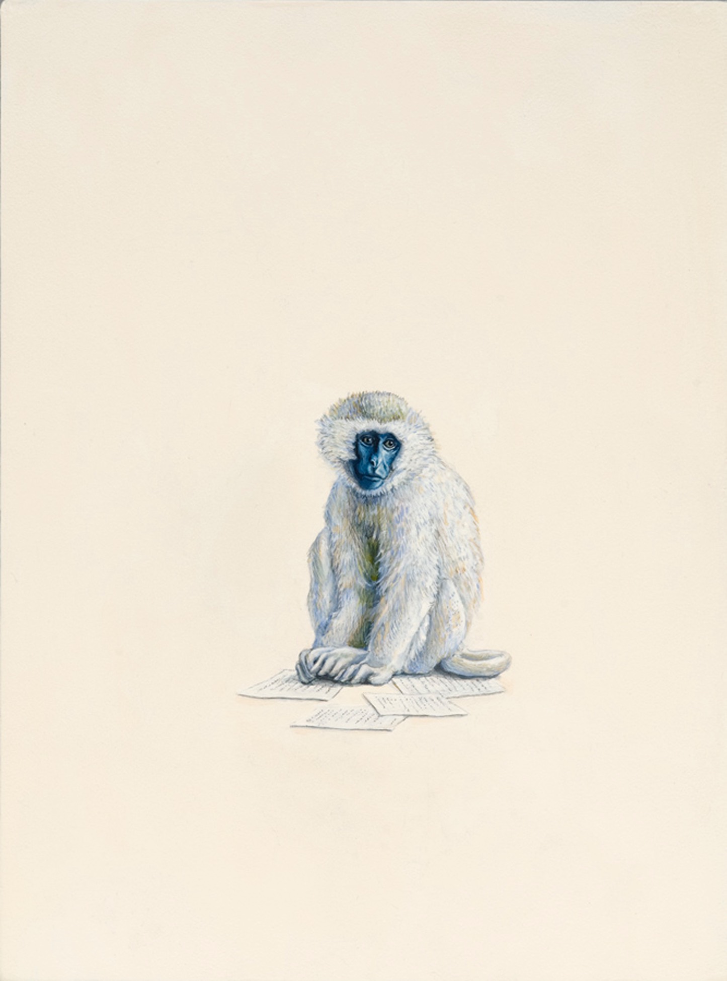 Monkey (Papers), 2009