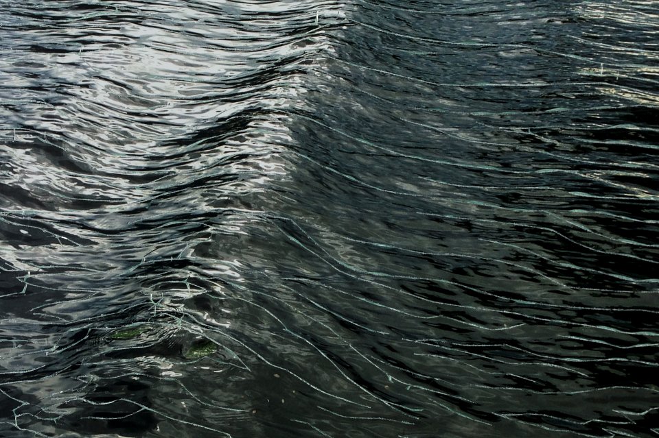 Detail from Aqueronte, 2017