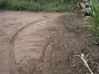 Petros Village, Malawi, 2006