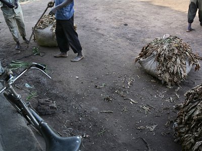 Petros Village, Malawi, 2006