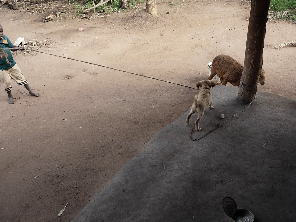 Petros Village, Malawi, 2006