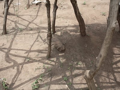 Petros Village, Malawi, 2006