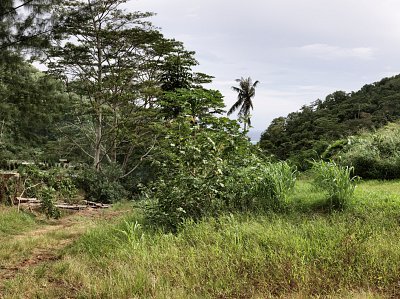 Haapiti, Moorea, 2010