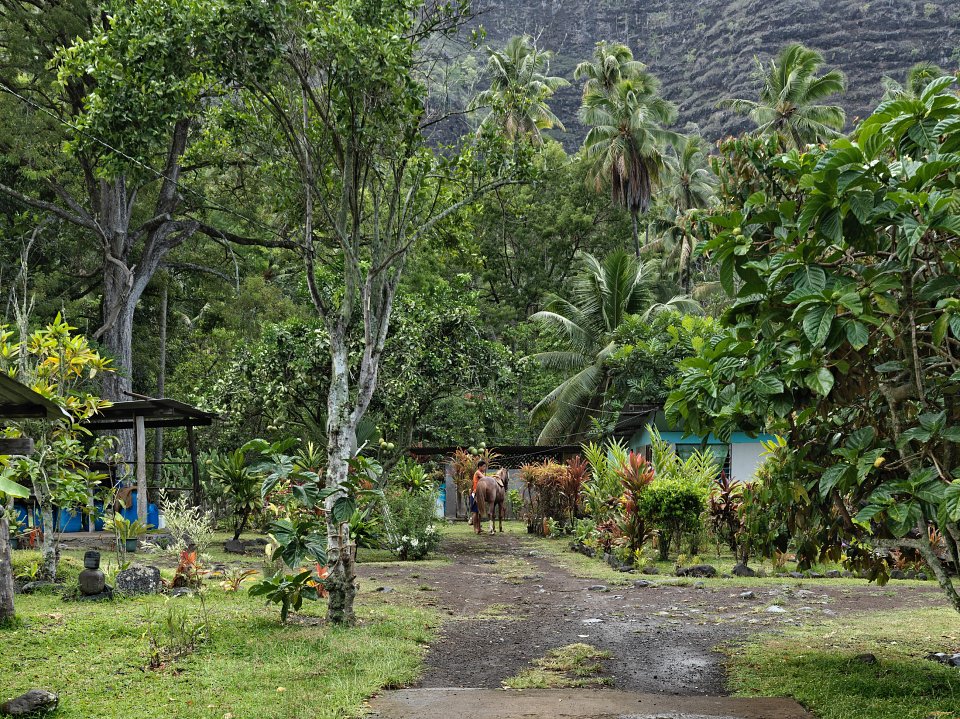 Hanaiapa, Hiva Oa, 2011
