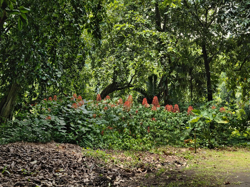 Mataiea, Tahiti, 2010