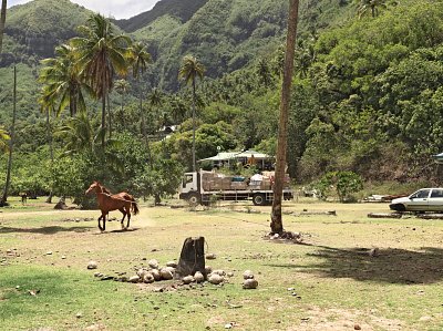 Moorea, 2010