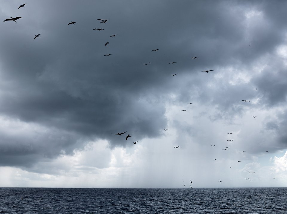 Near Tikehau, 2011