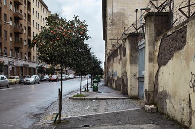 Via del Porto Fluviale, 2009