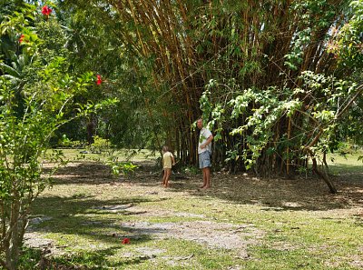 Tahaa, 2011