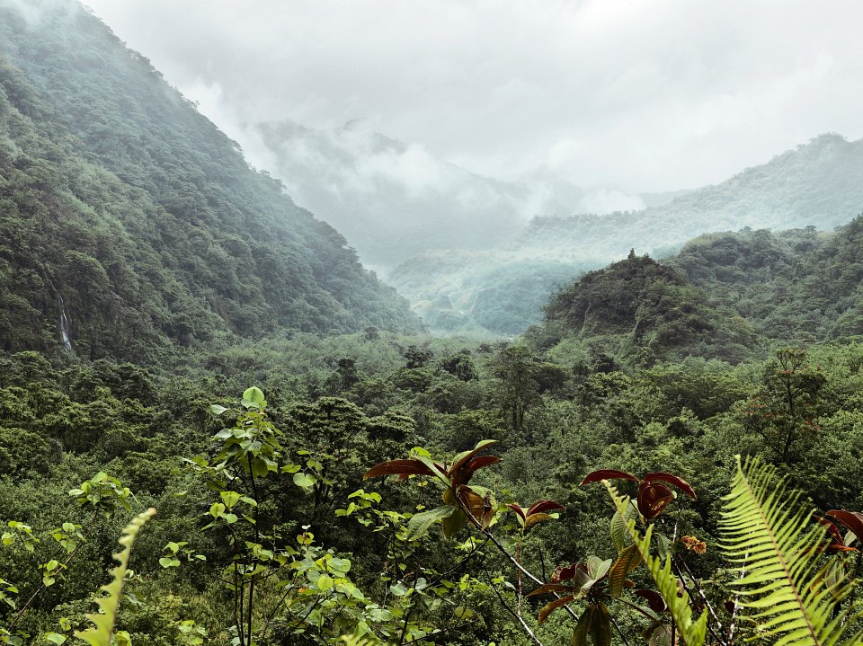 Tahiti, 2010