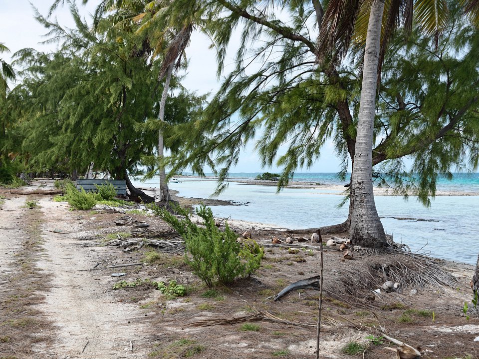 Tikehau Atoll, Tuamotus, 2011