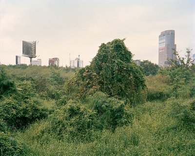 Bangkok # 842, 2013