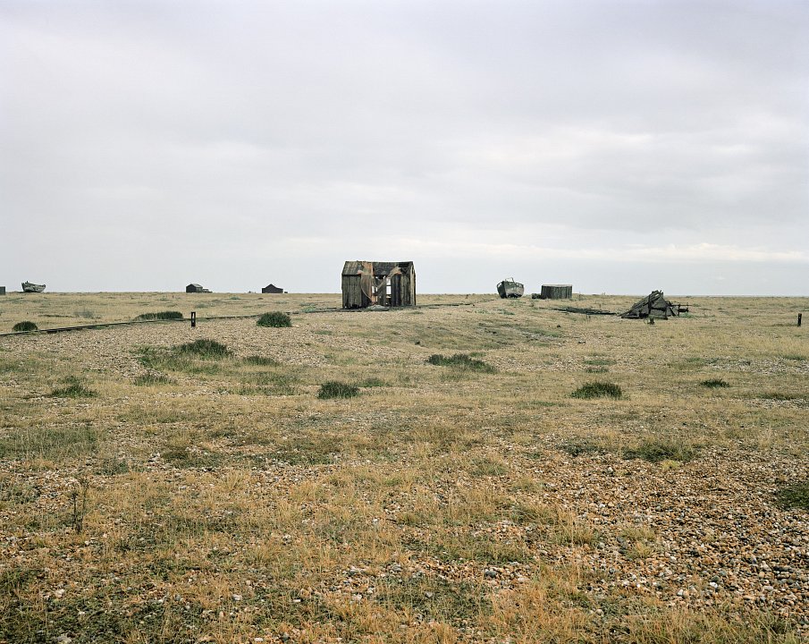 Dungeness # 935, 2014