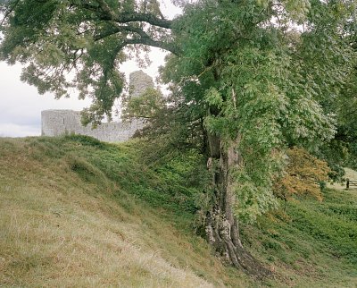 Pevensey Castle # 327, 2014