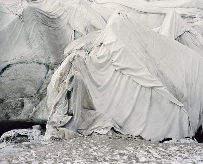 Glacier # 465, 2014