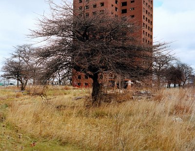 Chrysler Drive Detroit # 5807, 2012
