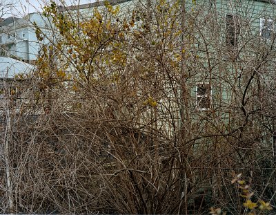 Mingo Junction # 2229, 2012