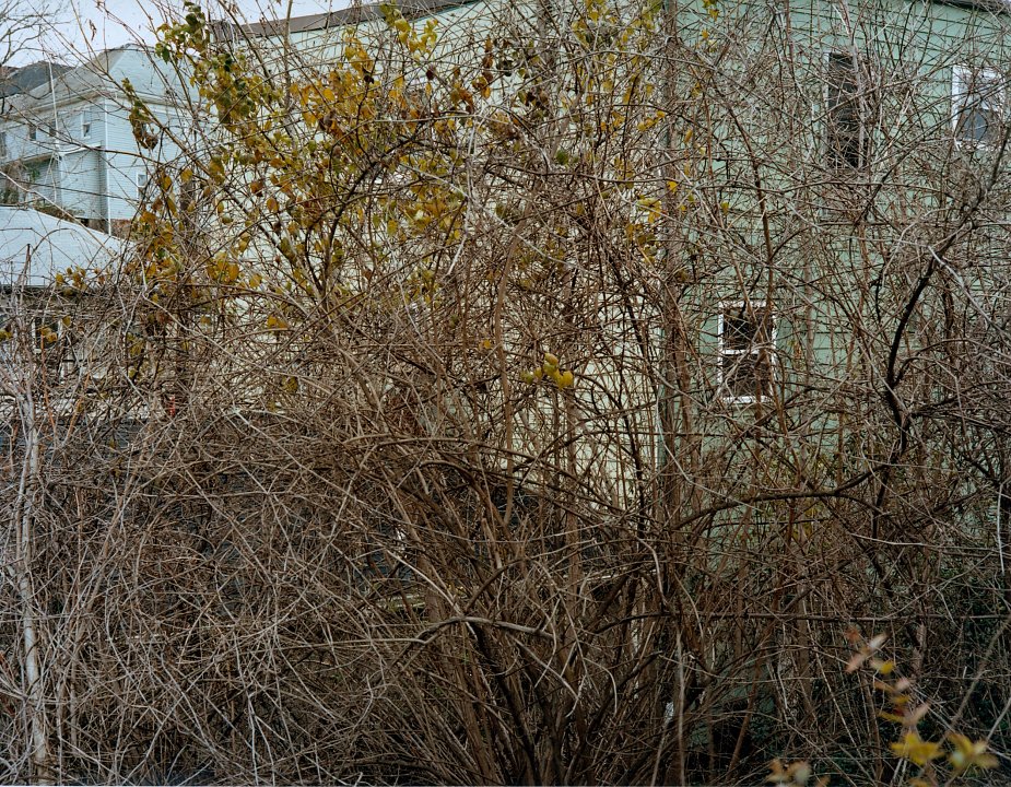 Mingo Junction # 2229, 2012