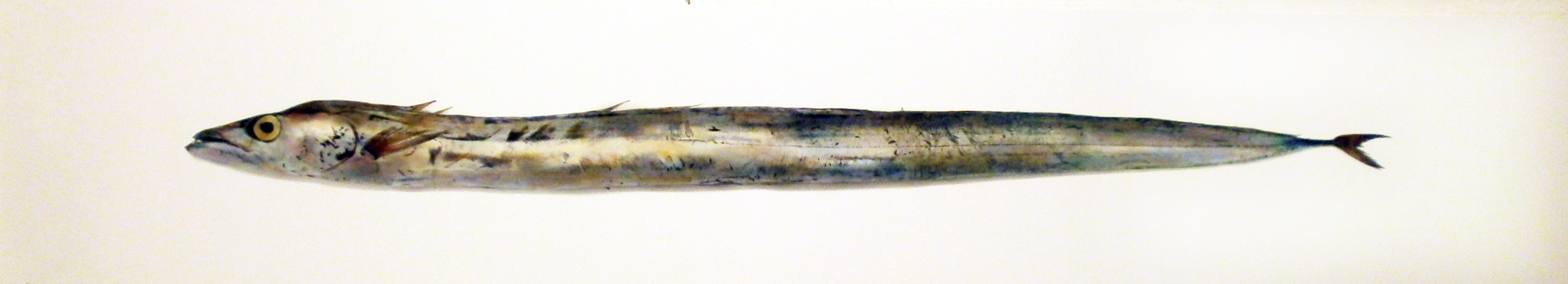 Espada branca IV, 2014
