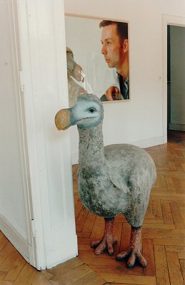 Harte Information, installation view, vierte Etage, 1995