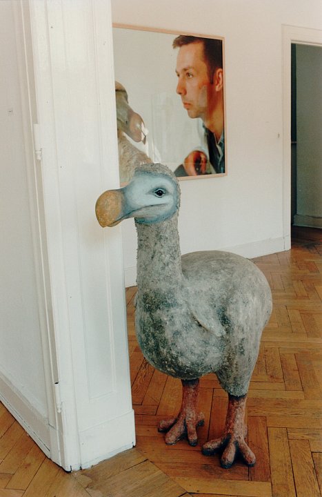 <p><em>Harte Information</em>, installation view, vierte Etage, 1995</p>