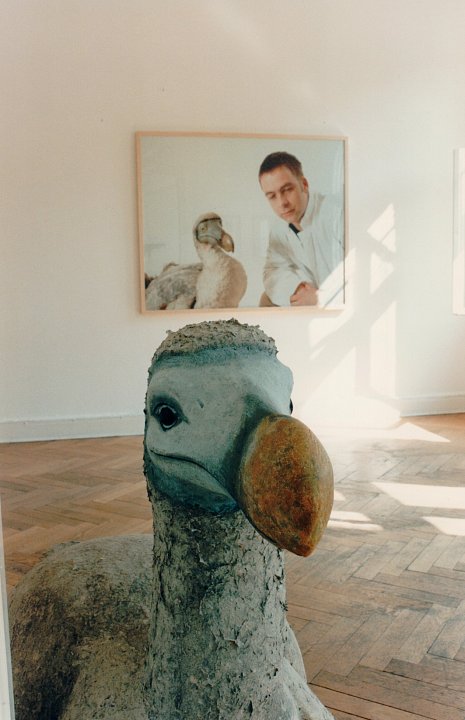 <p><em>Harte Information</em>, installation view, vierte Etage, 1995</p>