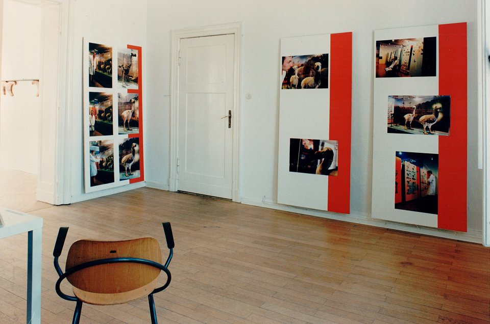 <p><em>Harte Information</em>, installation view, vierte Etage, 1995</p>