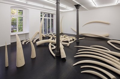 Stoßzähne, installation view, Kuckei + Kuckei, 2016