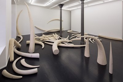Stoßzähne, installation view, Kuckei + Kuckei, 2016