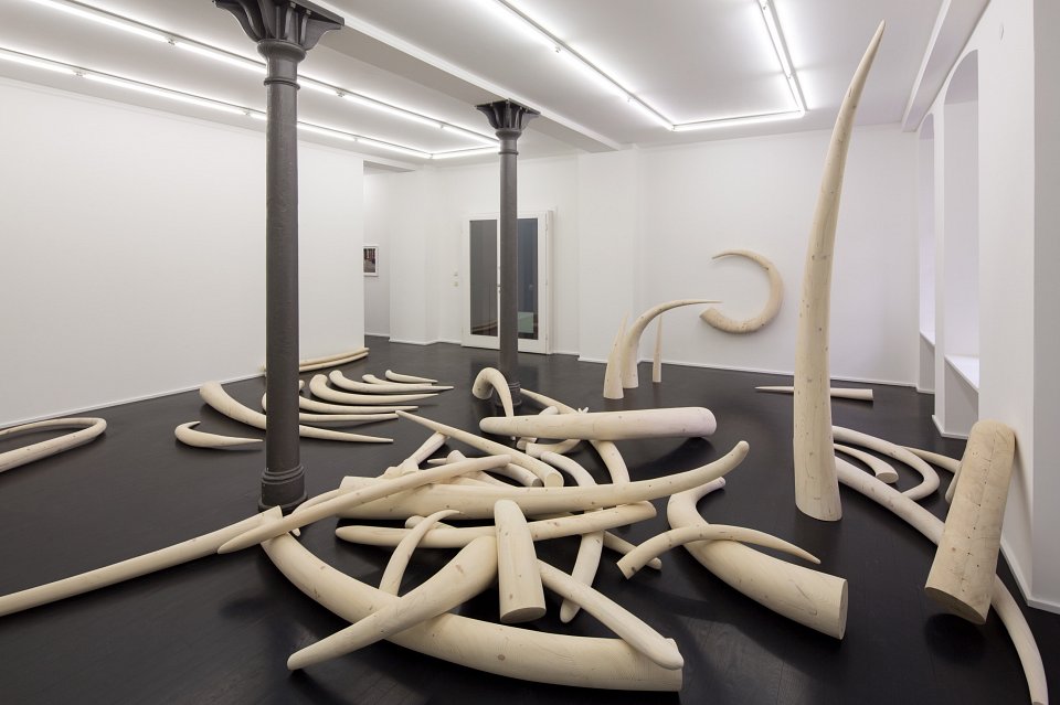 <p><em>Stoßzähne</em>, installation view, Kuckei + Kuckei, 2016</p>