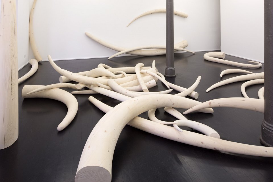 <p><em>Stoßzähne</em>, installation view, Kuckei + Kuckei, 2016</p>