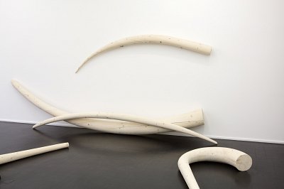 Stoßzähne, installation view, Kuckei + Kuckei, 2016