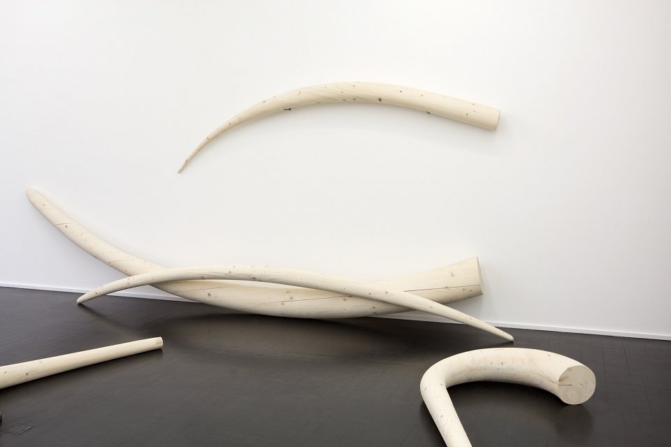 <p><em>Stoßzähne</em>, installation view, Kuckei + Kuckei, 2016</p>
