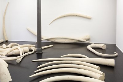 Stoßzähne, installation view, Kuckei + Kuckei, 2016