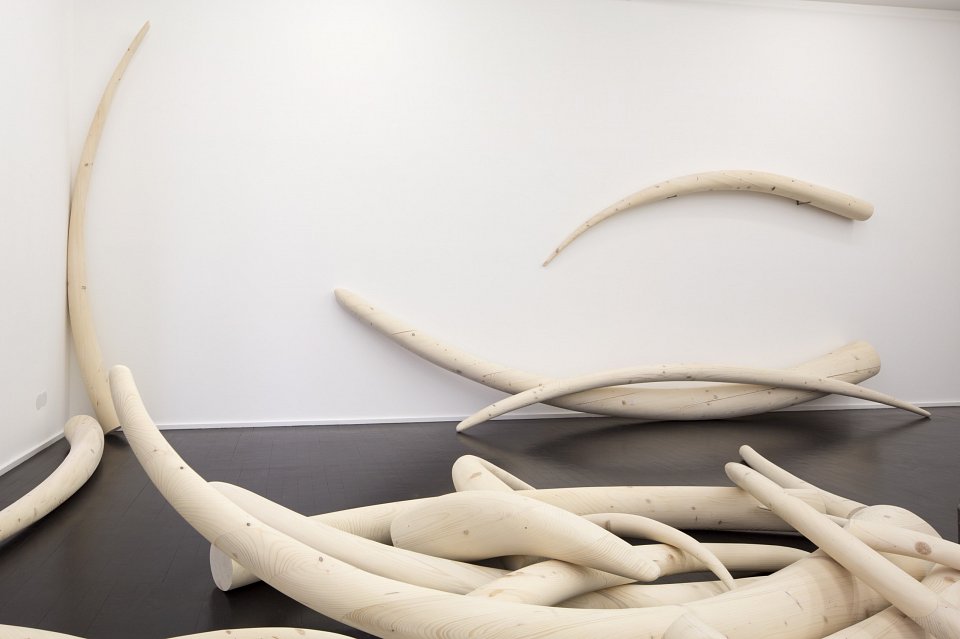 <p><em>Stoßzähne</em>, installation view, Kuckei + Kuckei, 2016</p>