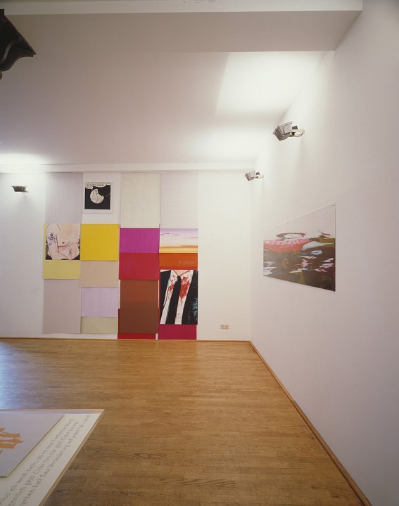 <p><em>in pieces</em>, installation view, vierte Etage, 2000</p>
