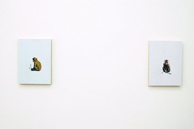 installation view, Kuckei + Kuckei, 2009