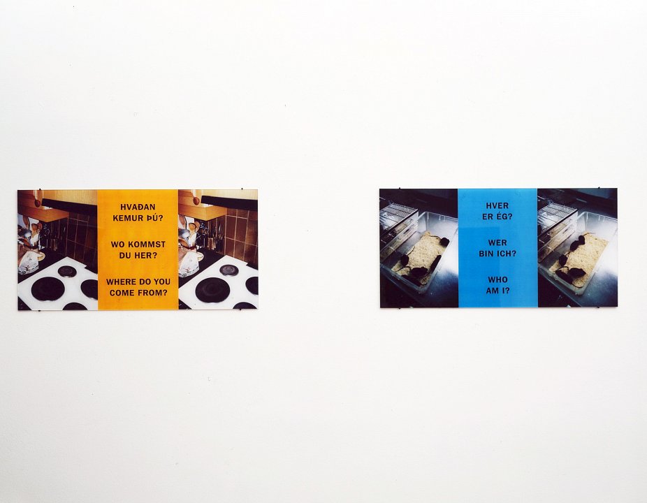<p><em>afhverju? – warum? – why?</em>, installation view, Kuckei + Kuckei, 2000</p>